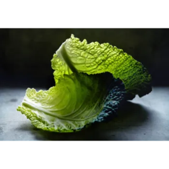 Cabbage (49)-6857366-48033.webp